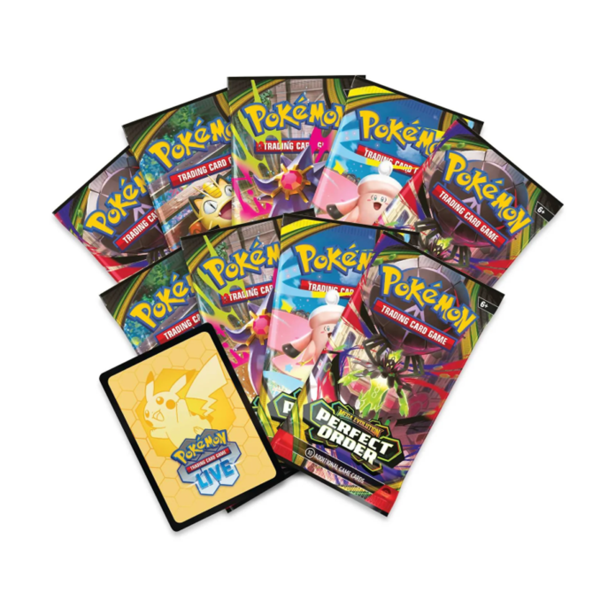 Perfect Order Elite Trainer Box